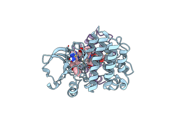 8DSO image