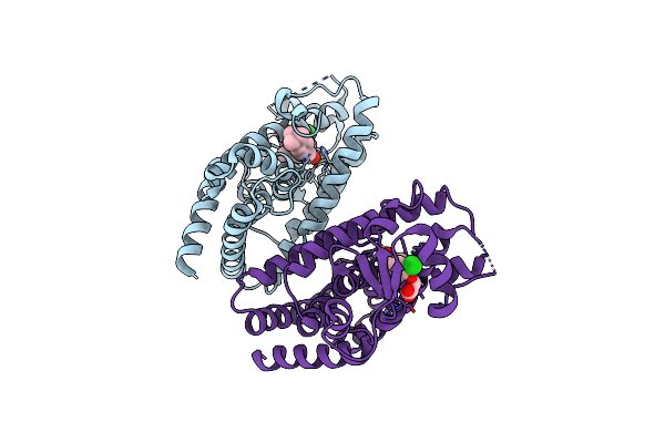 8DSY image