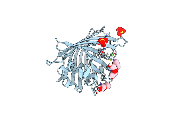 8DTA image