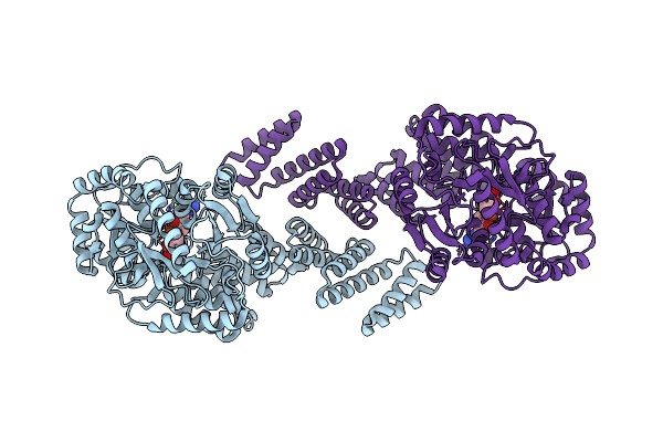 8DTI image