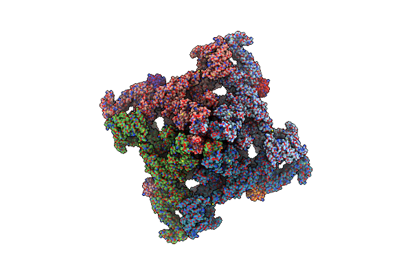 8DTZ image