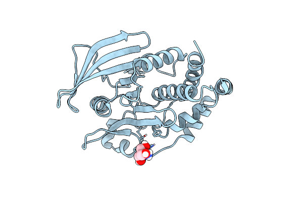 8DU7 image