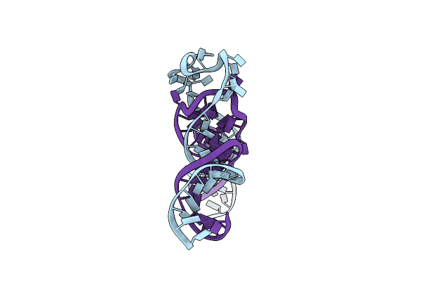 8DUT image