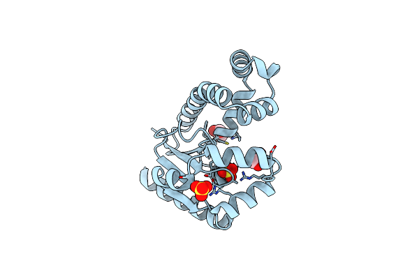 8DV0 image