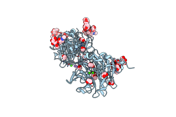 8DVM image