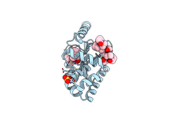8DVO image