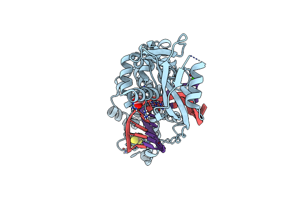 8DVP image