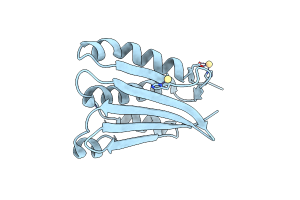 8DVQ image