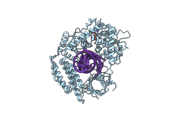 8DVS image