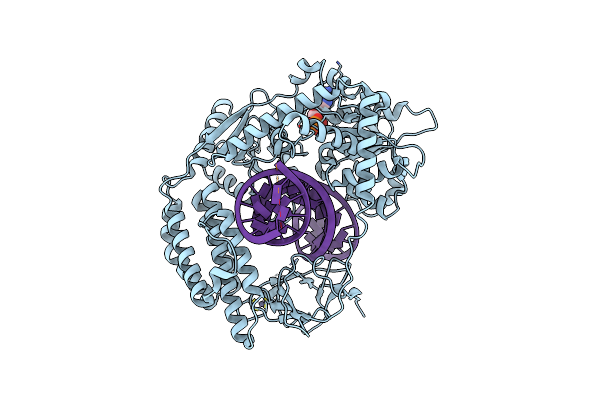 8DVU image