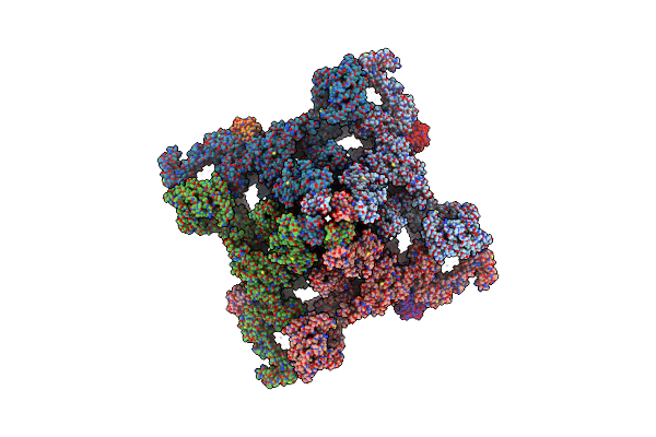 8DVV image