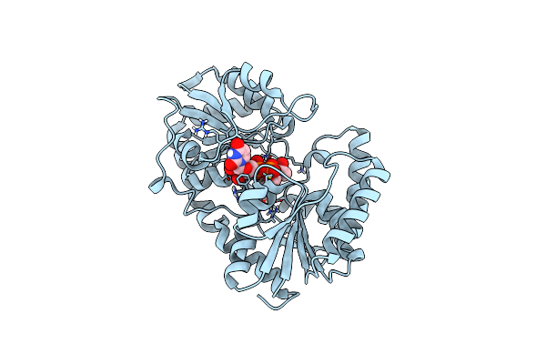 8DVW image