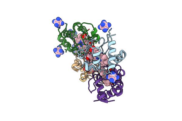 8DVX image