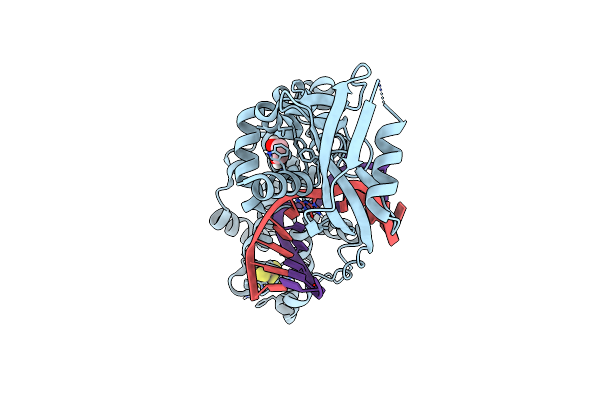 8DW0 image