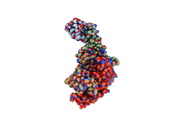 8DW3 image