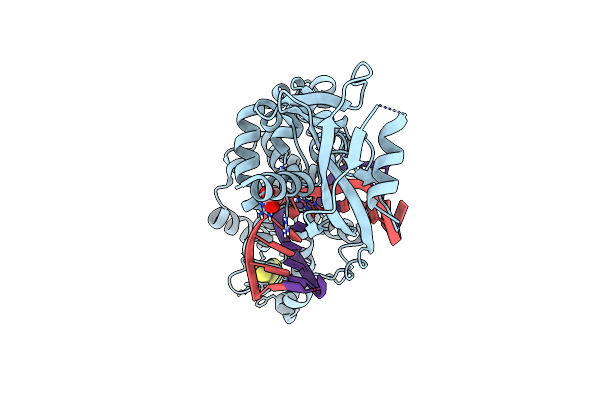 8DW4 image