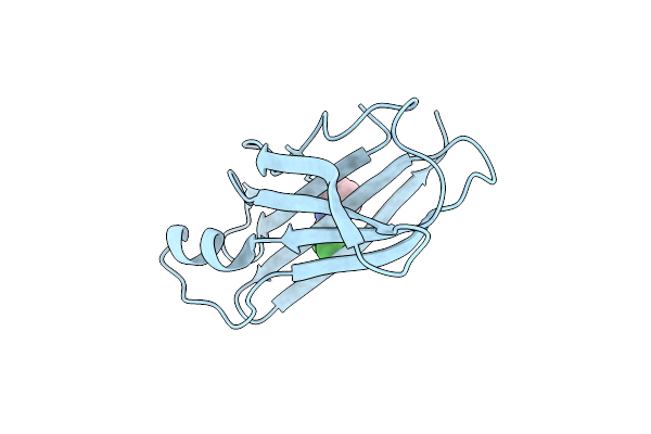 8DW5 image