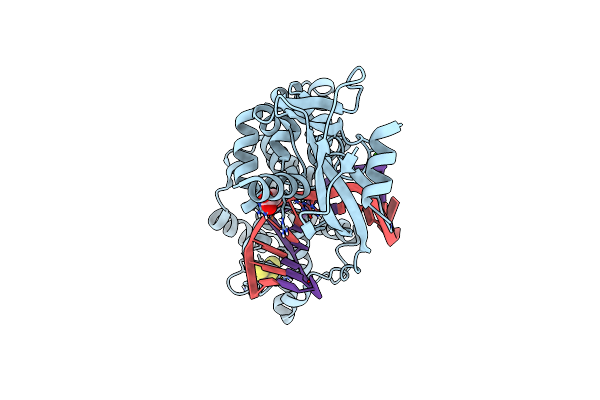 8DWD image