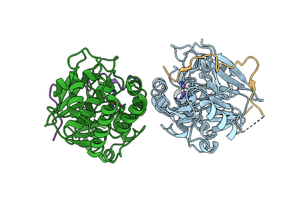 8DWK image