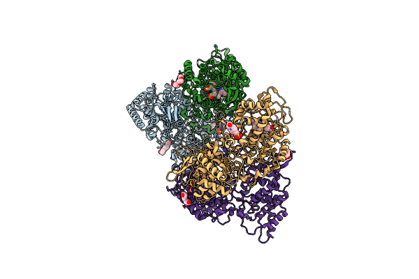 8DWR image