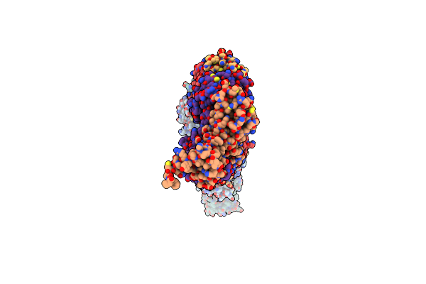 8DWS image