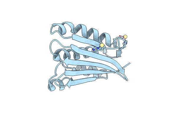 8DWZ image