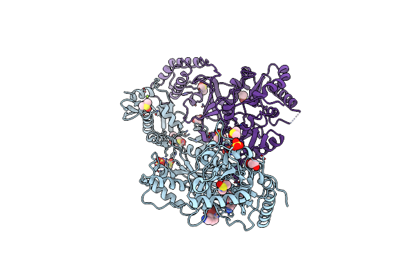 8DX3 image