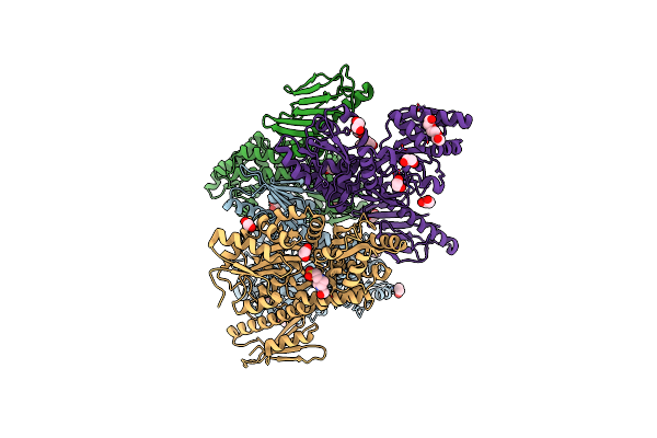 8DX4 image