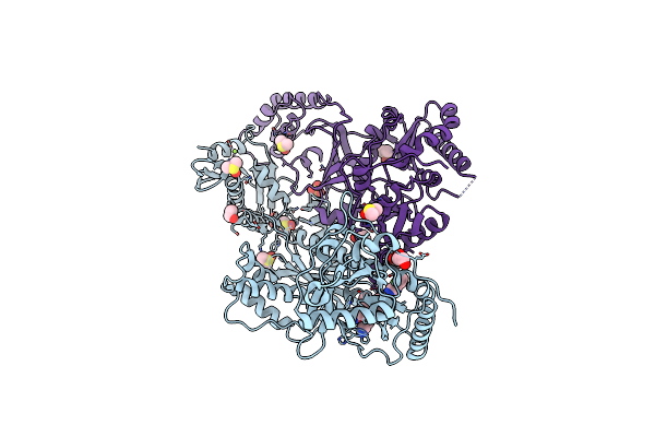 8DXE image