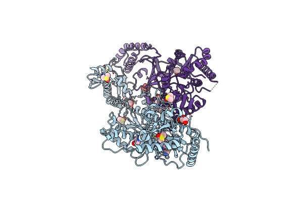 8DXI image