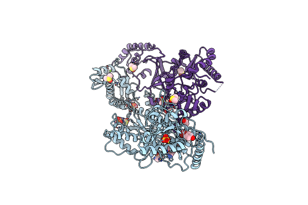 8DXM image