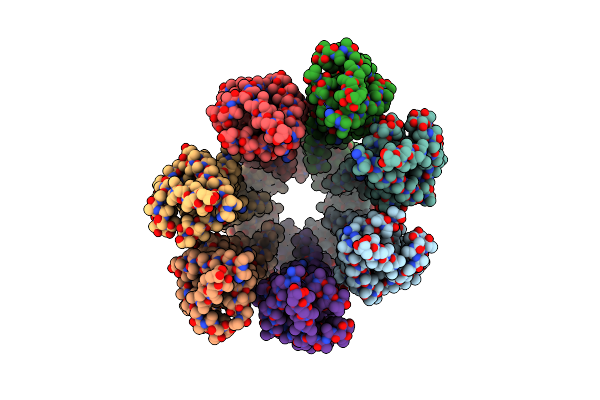 8DXR image