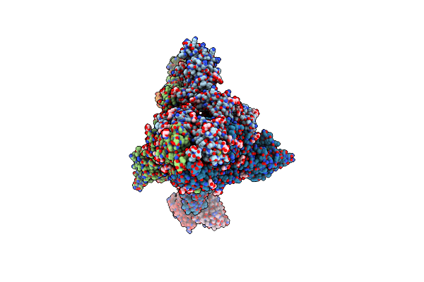 8DXS image