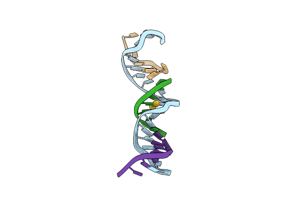 8DXX image
