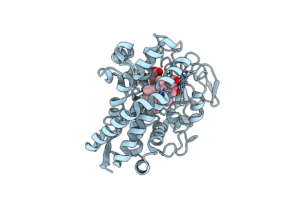 8DYB image