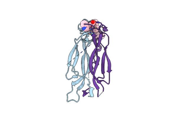 8DYF image