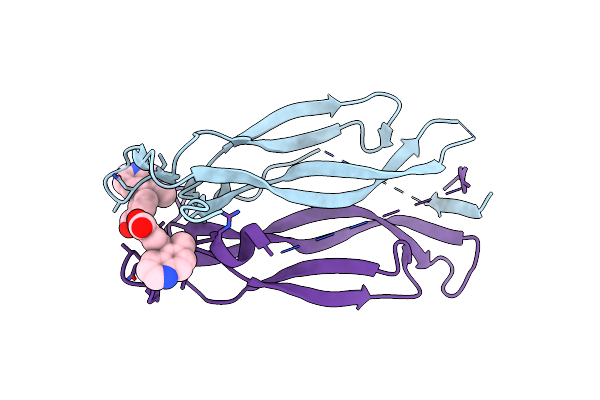 8DYG image