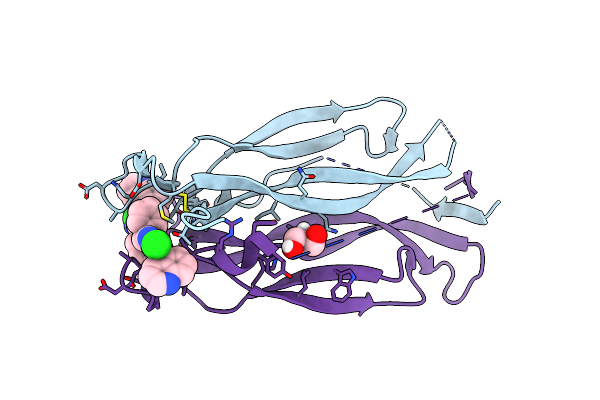 8DYH image