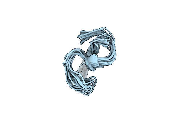 8DYN image