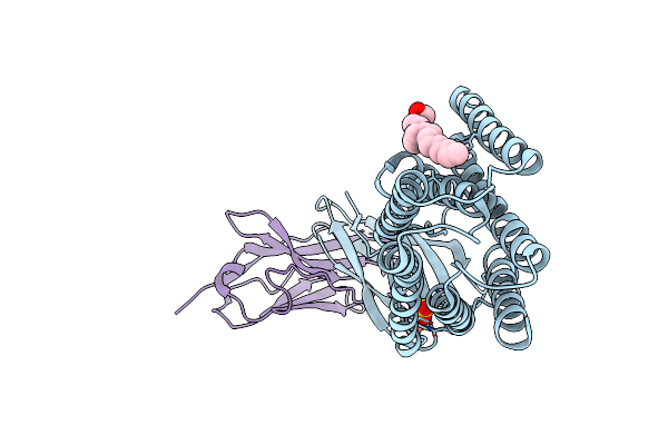 8DYP image