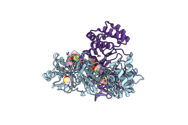 8DZA image
