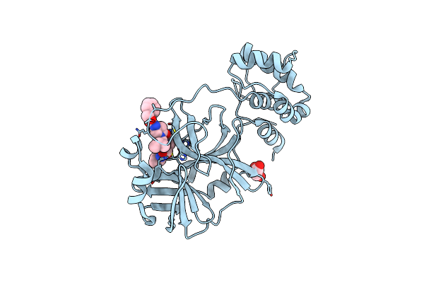 8DZB image