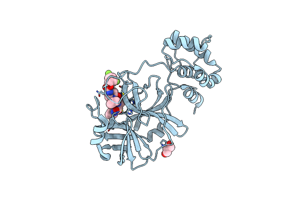 8DZC image