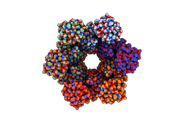8DZE image