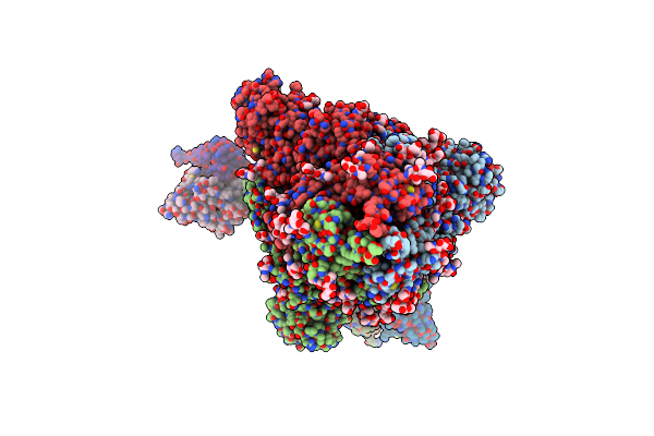 8DZI image