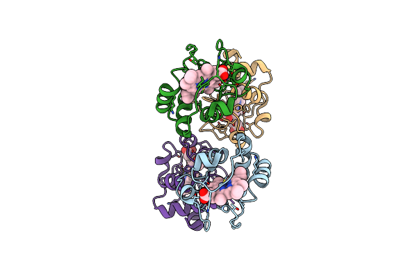 8DZL image
