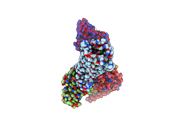 8DZR image