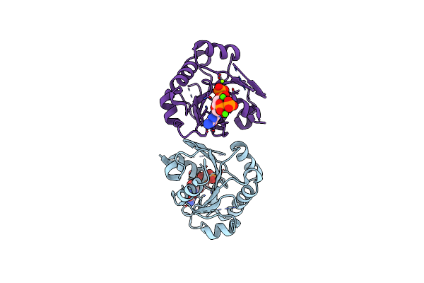 8DZT image