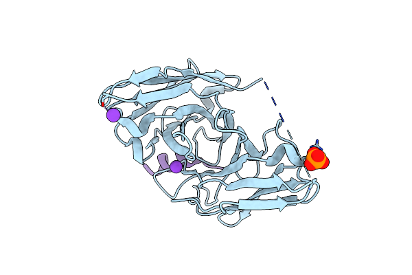 8DZV image