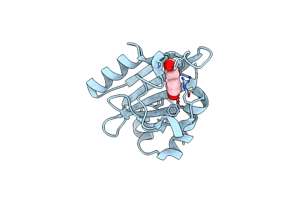 8DZX image